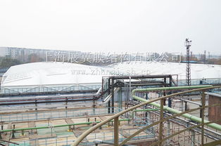 黑龍江大慶煉油廠污水池膜加蓋